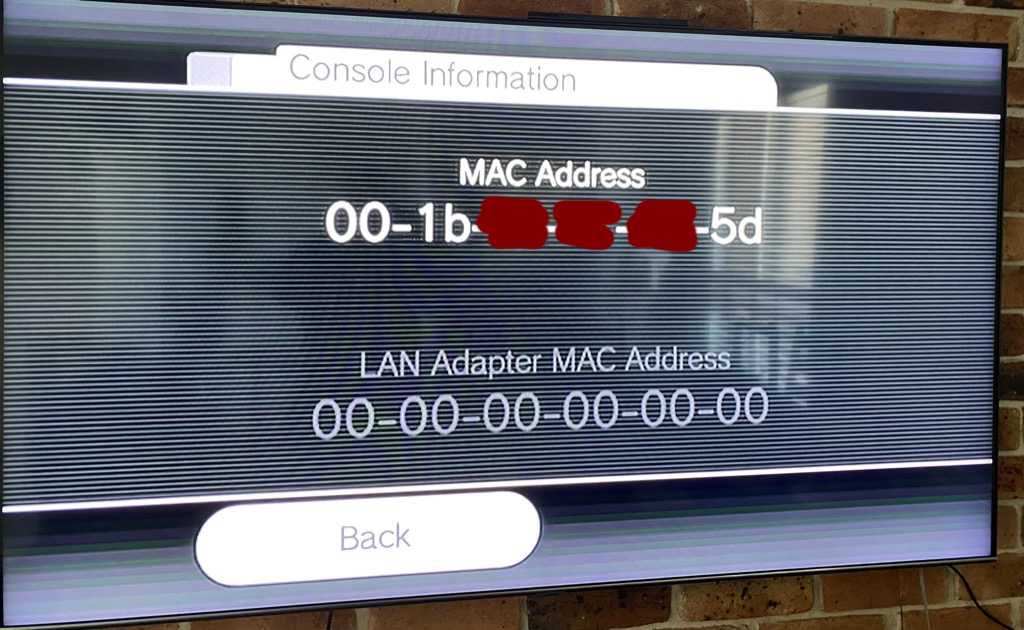 Screenshot showing the Nintendo Wiis MAC address